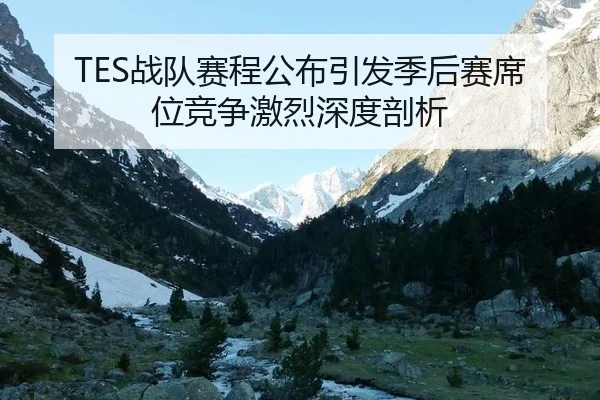 TES战队赛程公布引发季后赛席位竞争激烈深度剖析